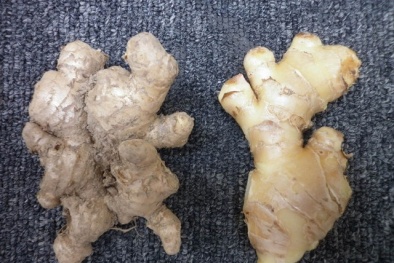 Nguy cơ độc hại từ gừng có xuất xứ Trung Quốc